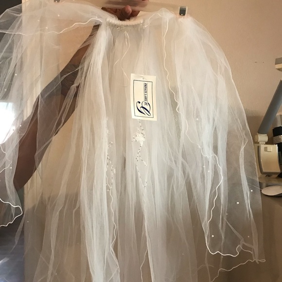 Wedding Dress and Veil - Picture 7 of 8